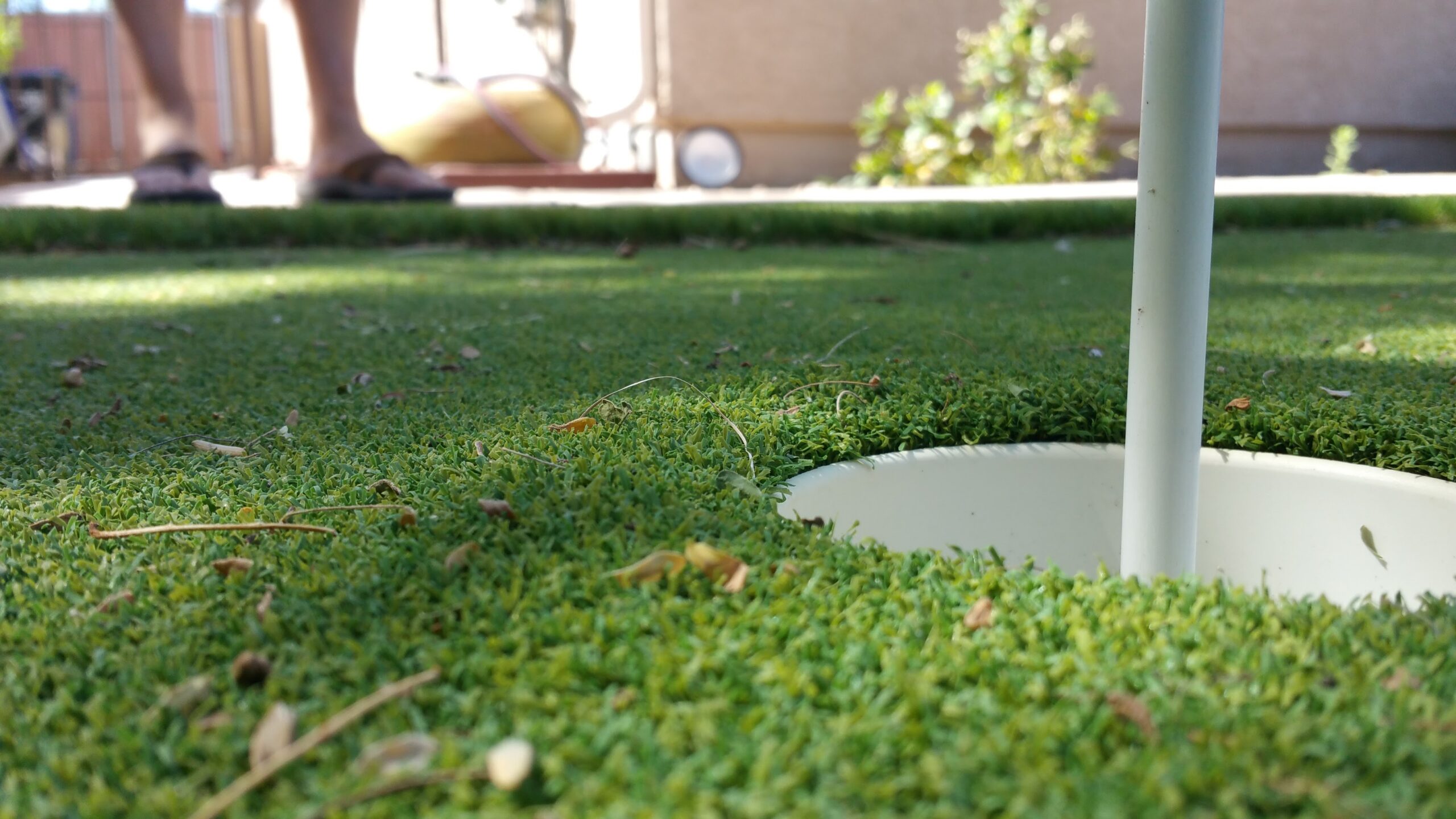 Top Design Ideas for Your Backyard Putting Green