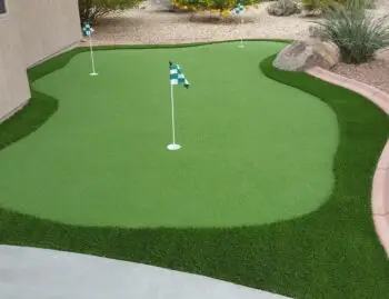 backyard golf