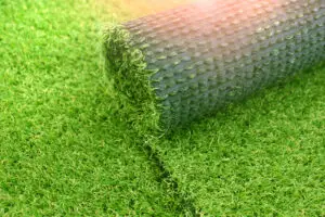 Artificial Grass Rebates in Scottsdale