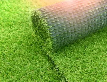 Artificial Grass Rebates in Scottsdale