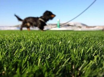 Artificial Turf