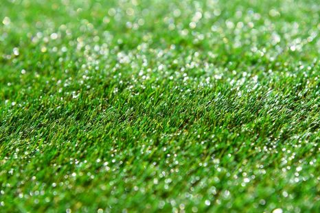 Green Lawn
