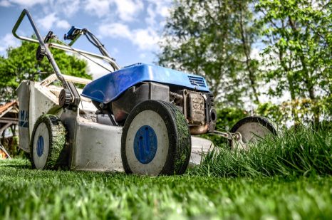 Artificial Turf