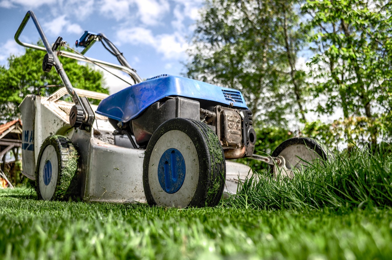 Artificial Turf